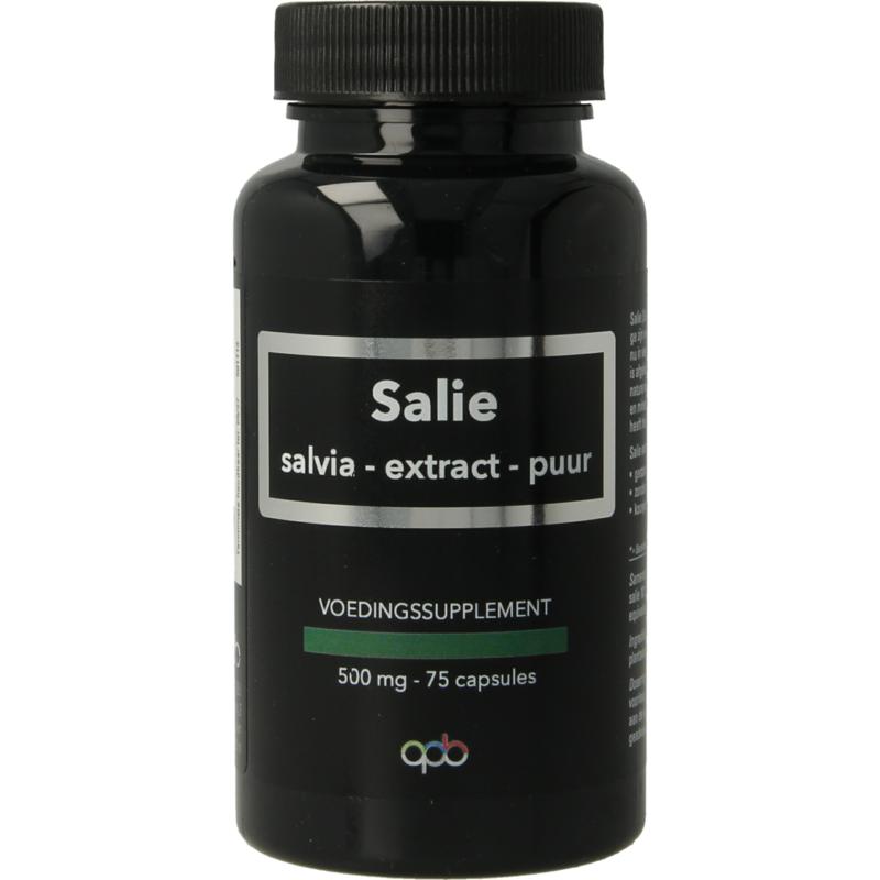 Apb Holland Salie Extract Puur 500Mg