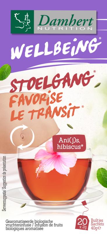 Damhert Tea Time Stoelgangthee