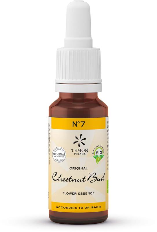 Lemonpharma Bach Bach Bloesemremedies Chestnut Bud Bio