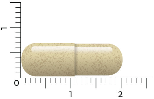 Vitakruid Vitex Agnus Castus 200Mg Monnikspeper