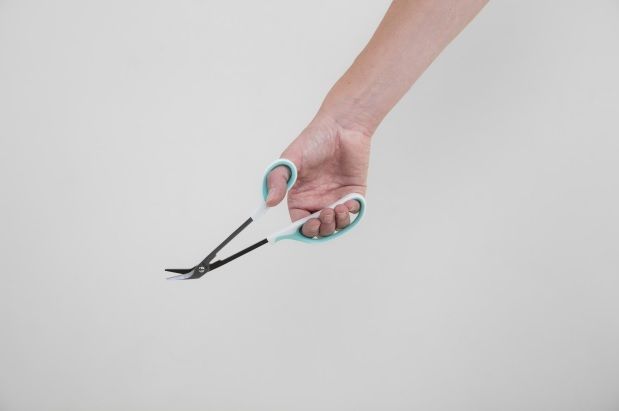 Able 2 Teennagelschaar Op Lange Steel