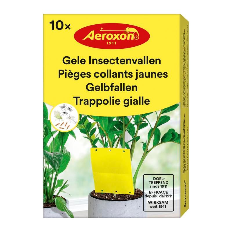 Aeroxon Gele Insectenvallen