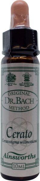 Ainsworths Cerato Bach
