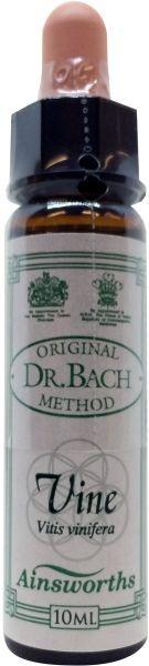 Ainsworths Vine Bach