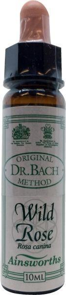 Ainsworths Wild Rose Bach