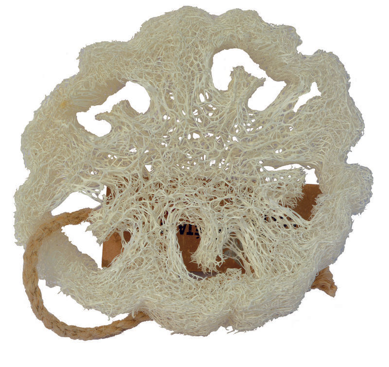 Aleppo Soap Co Loofah Natuurspons Plak
