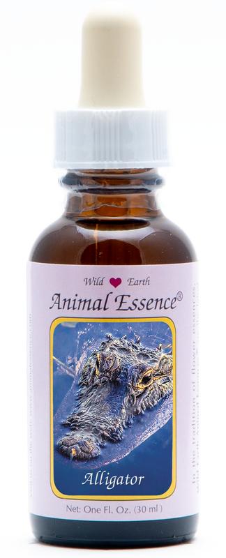 Animal Essences Alligator