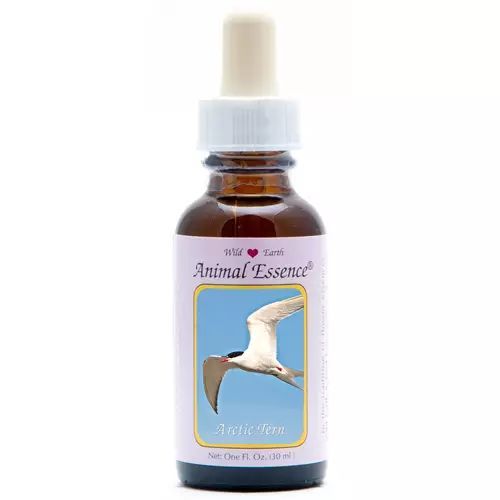 Animal Essences Arctic Tern (Noordse Stern)
