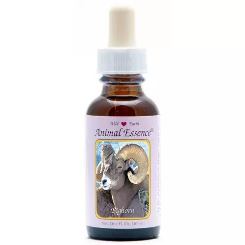 Animal Essences Bighorn Sheep (Schaap)