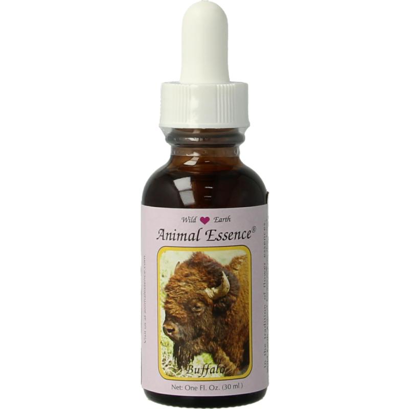 Animal Essences Buffalo (Buffel)