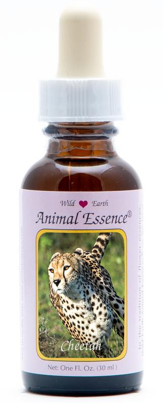 Animal Essences Cheetah (Jachtluipaard)