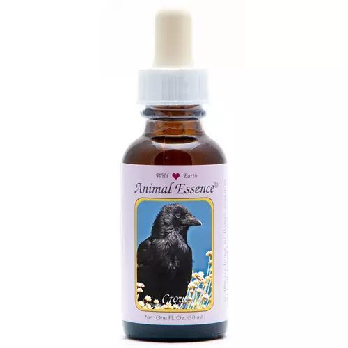 Animal Essences Crow (Kraai)