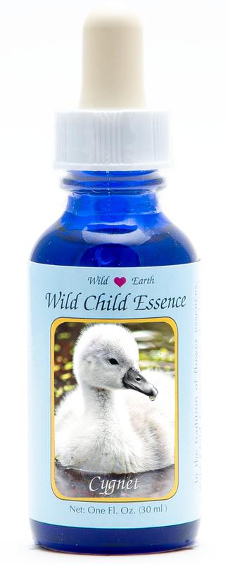 Animal Essences Cygnet (Zwaan Kuiken)