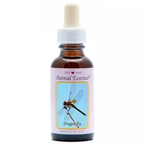 Animal Essences Dragonfly (Libelle)