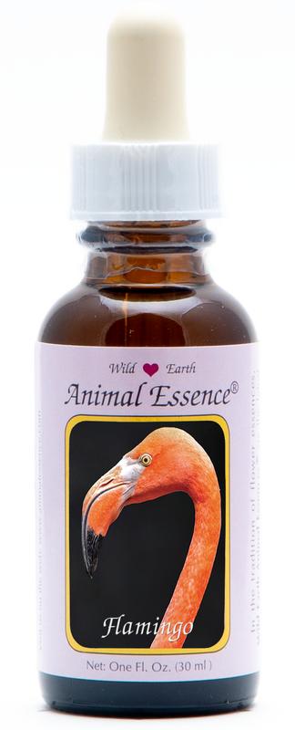 Animal Essences Flamingo