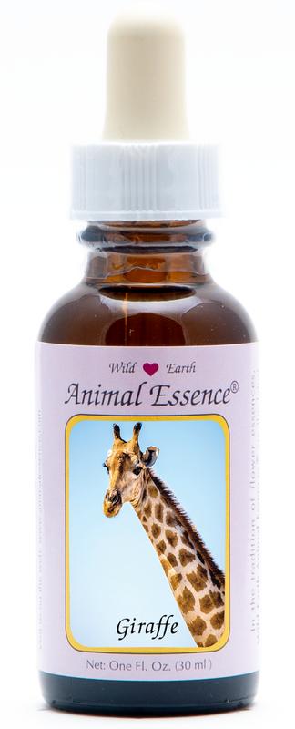 Animal Essences Giraffe (Giraf)