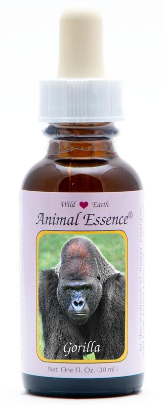 Animal Essences Gorilla