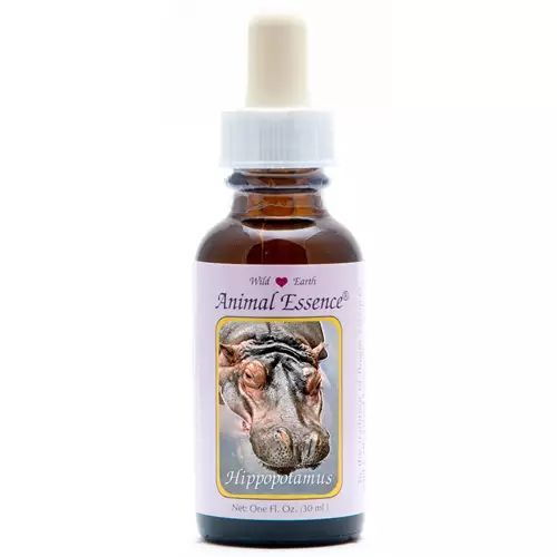 Animal Essences Hippopotamus (Nijlpaard)