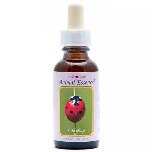 Animal Essences Ladybug (Lieveheersbeestje)