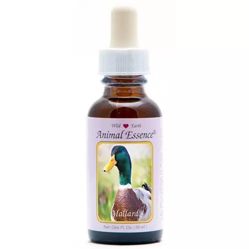 Animal Essences Mallard (Wilde Eend)