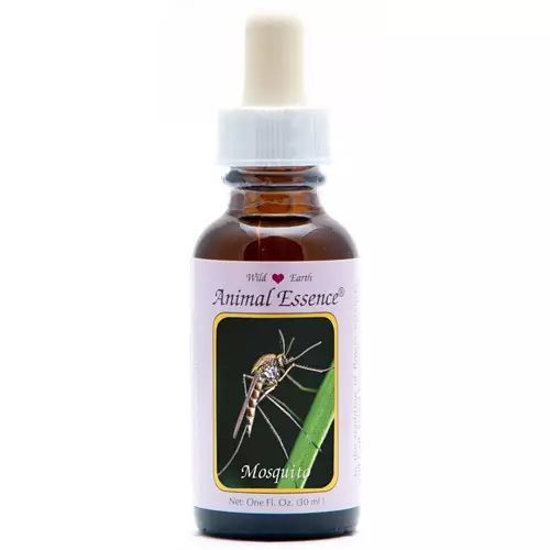 Animal Essences Mosquito (Mug)