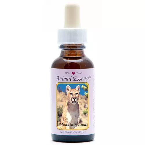 Animal Essences Mountain Lion (Poema)