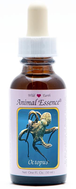 Animal Essences Octopus