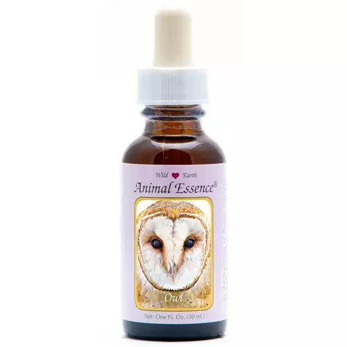 Animal Essences Owl (Uil)