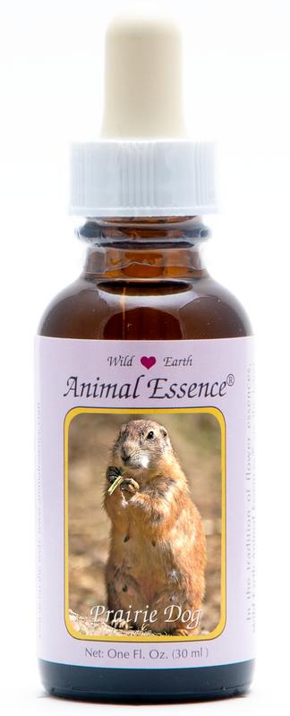 Animal Essences Prairie Dog (Prairiehond)