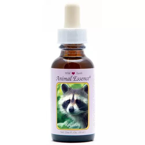 Animal Essences Raccoon (Wasbeer)