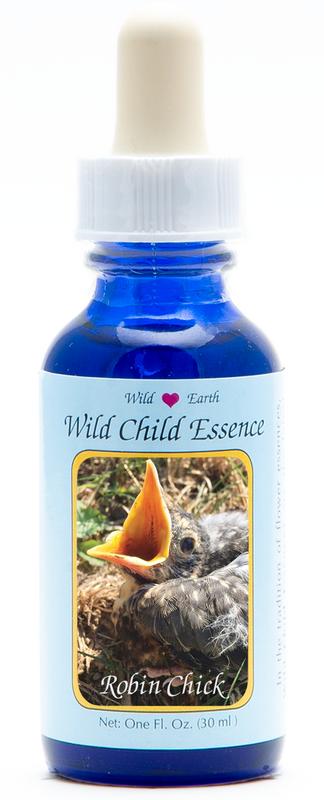 Animal Essences Robin Chick (Roodborst)