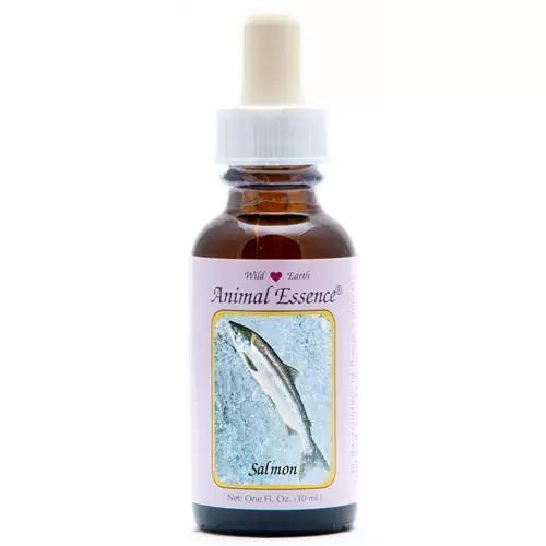 Animal Essences Salmon (Zalm)