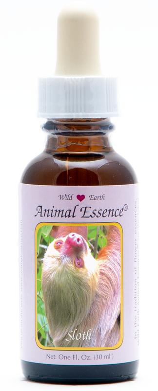 Animal Essences Sloth (Luiaard)