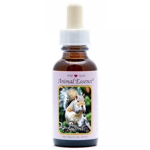 Animal Essences Squirrel (Eekhoorn)