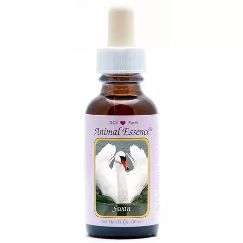 Animal Essences Swan (Zwaan)