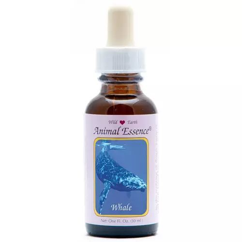 Animal Essences Whale (Walvis)