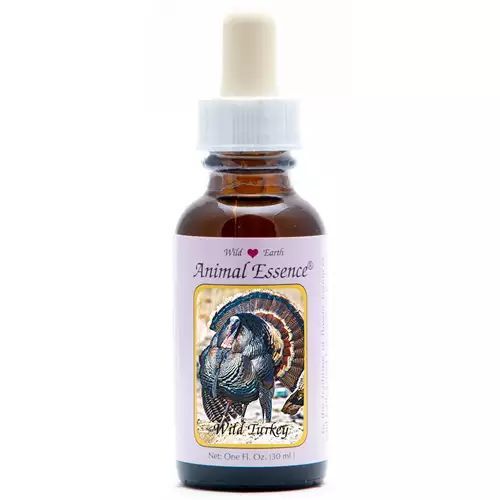 Animal Essences Wild Turkey (Kalkoen)