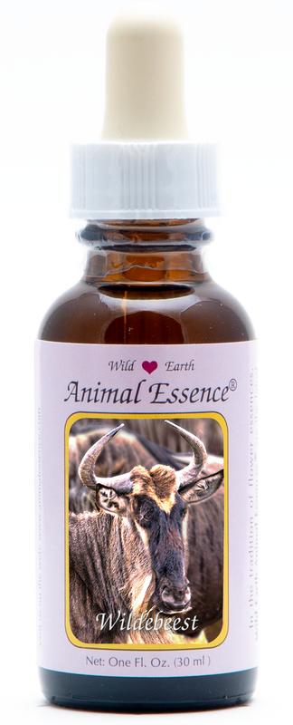 Animal Essences Wildebeest