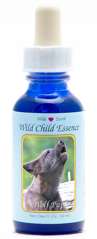 Animal Essences Wolf Cub