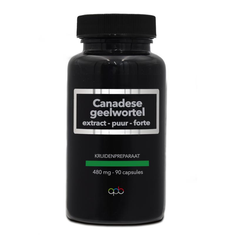 Apb Holland Canadese Geelwortel Extract Puur Forte 480Mg