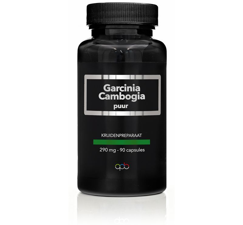 Apb Holland Garcinia Cambogia Puur 290Mg