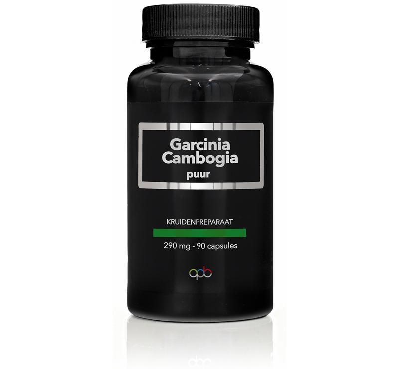 Apb Holland Garcinia Cambogia Puur 290Mg