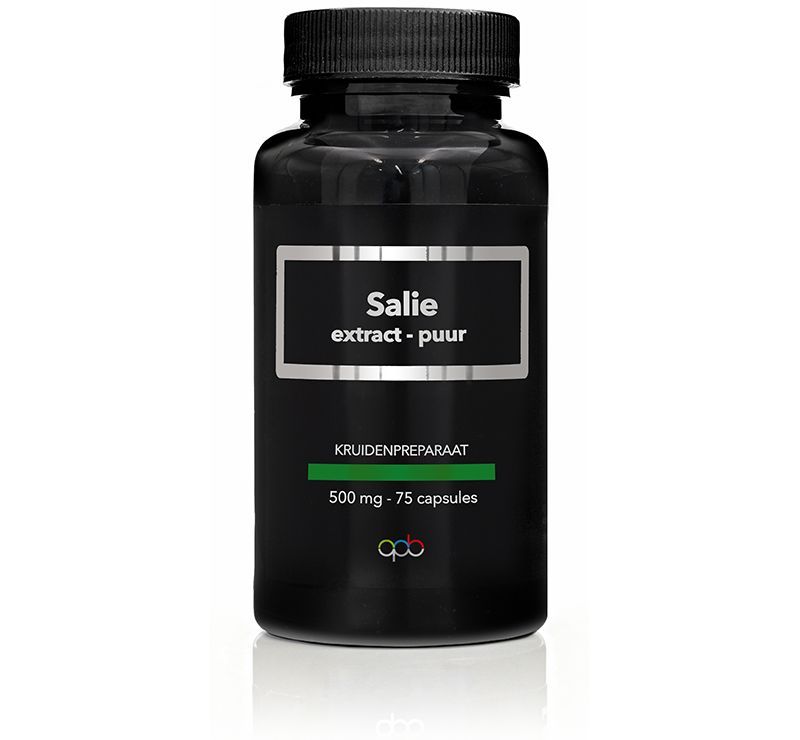 Apb Holland Salie Extract Puur 500Mg