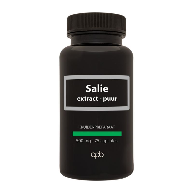 Apb Holland Salie Extract Puur 500Mg