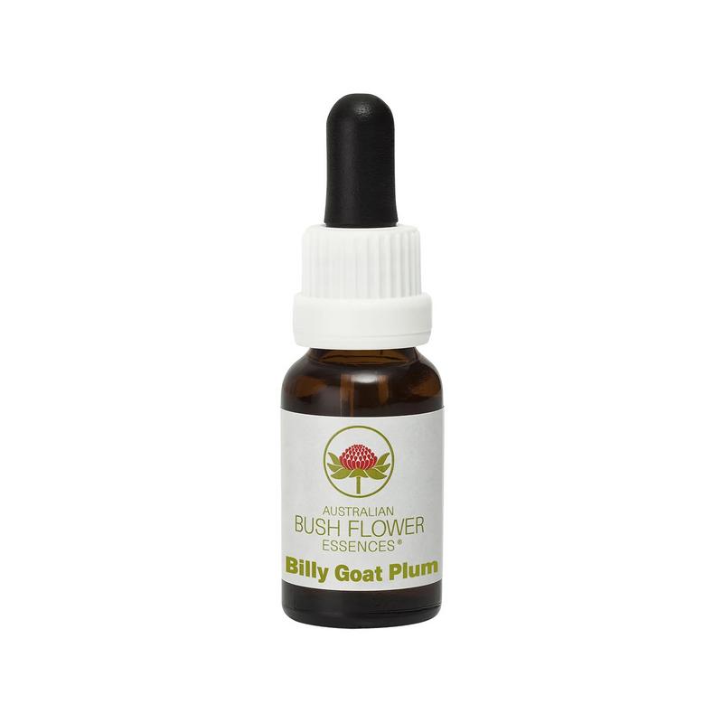 Australian Bush Billy Goat Plum