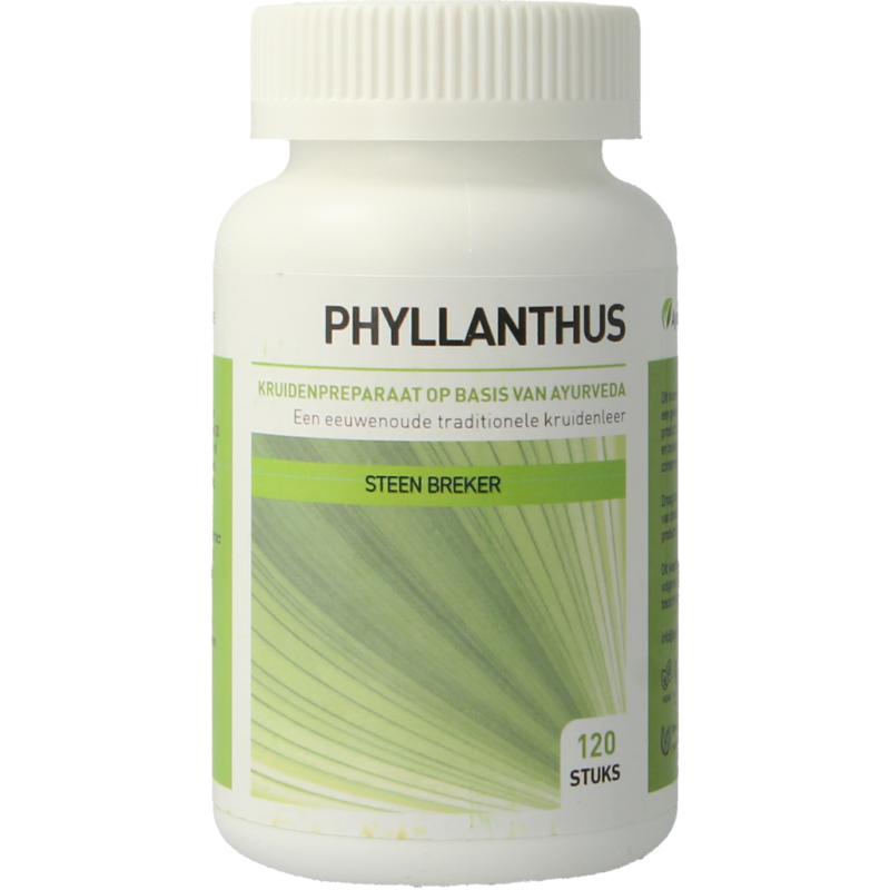 Ayurveda Health Phyllanthus Niruri