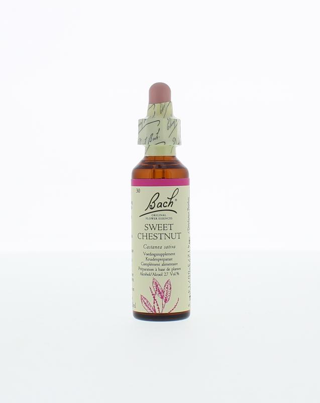 Bach Sweet Chestnuttamme Kastanje