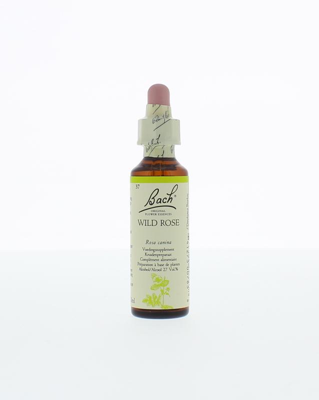 Bach Wild Rosehondsroos