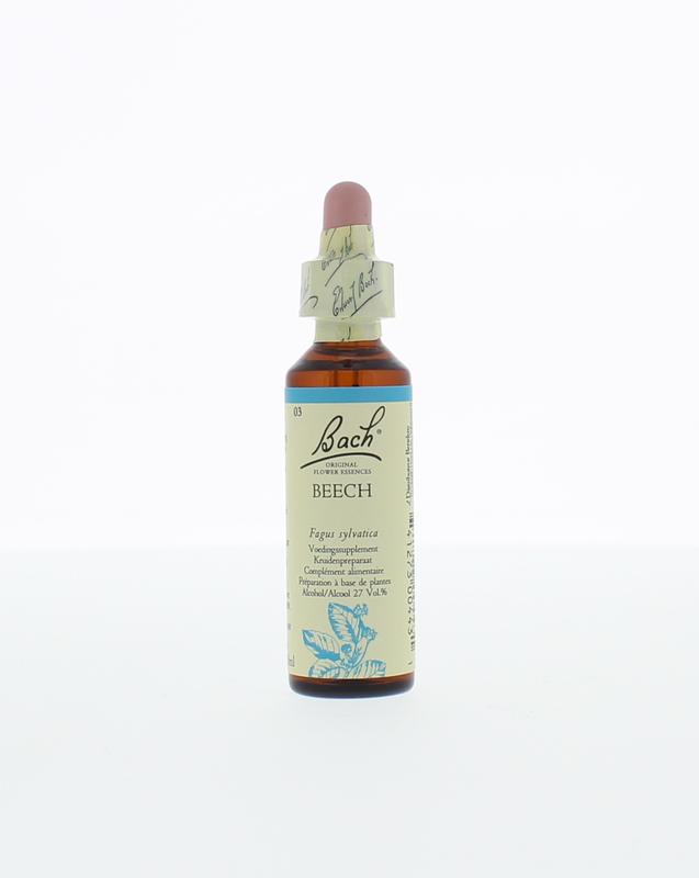 Beechbeuk Bach