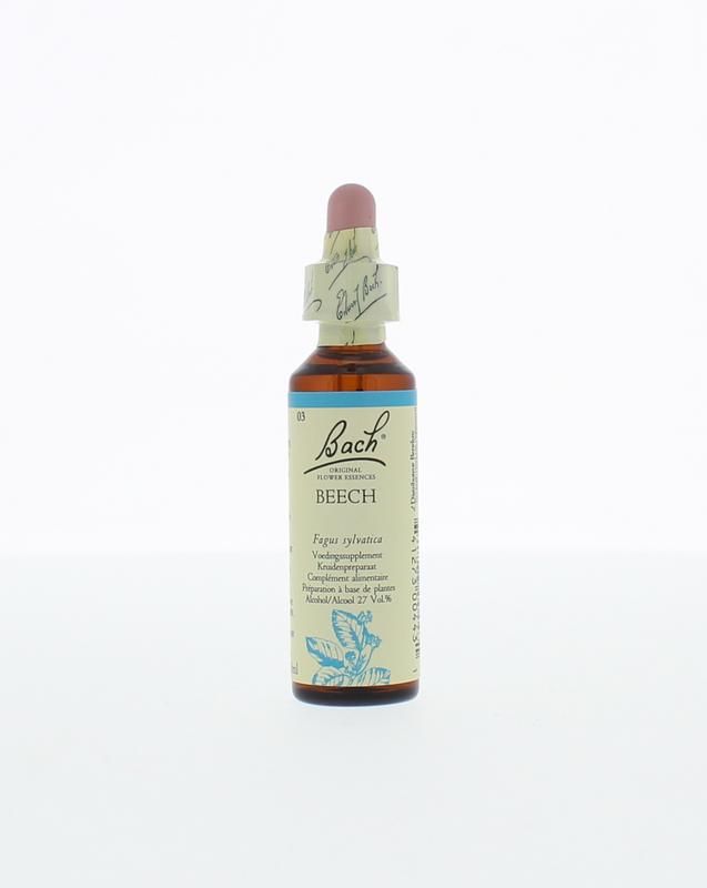 Beechbeuk Bach